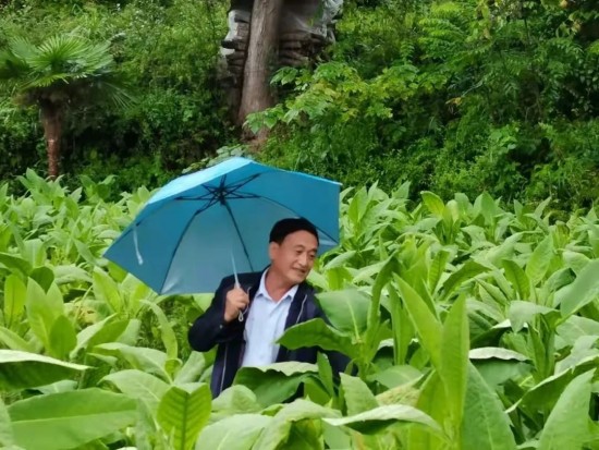 云图片